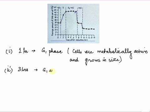 when-nutrients-are-low-cells-of-the-budding-yeast-saccharomyces-cerevisiae-exit-the-mitotic-cell-cycle-and-enter-meiosis-researchers-grew-a-culture-of-yeast-cells-in-a-nutrient-rich-medium-a-28981