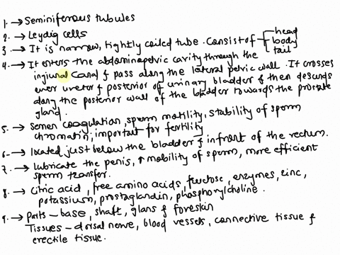 male-reproductive-system-assignment-1where-in-the-testes-are-sperm-cells-produced-2which-cells-produce-male-sex-hormones-3describe-the-structure-of-the-epididymis-4trace-the-path-of-ductus-d-82455