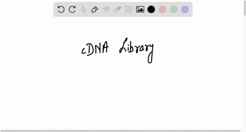 which-of-the-following-statement-is-true-about-cdna-library-cdna-lbraries-contain-dna-copies-of-mrna-expressed-in-the-sample-tissue-cdna-libraries-contain-dna-representing-the-entire-genome-48888