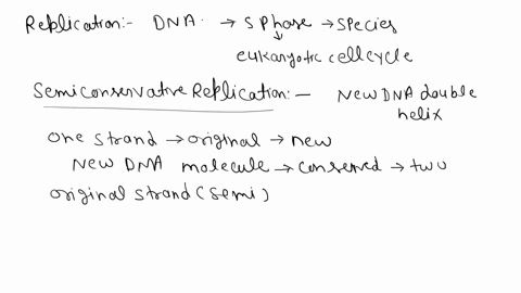 explain-experiment-of-prove-that-replication-of-dna-is-a-semi-conservative-process-55279