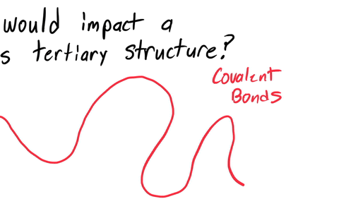 which-of-the-following-would-affect-a-proteins-tertiary-structure-mark-all-that-apply-a-hydrogen-bonds-between-sections-of-the-peptide-backbone-b-ionic-interactions-between-amino-acid-side-c-50087