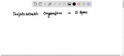 name-the-three-germ-layers-in-a-triploblastic-organism-html-editorna-b-i-4-a-i-e-22-e-e-d-6-8-d-vx-g-6-d-m-12pt-paragraph-words-01884