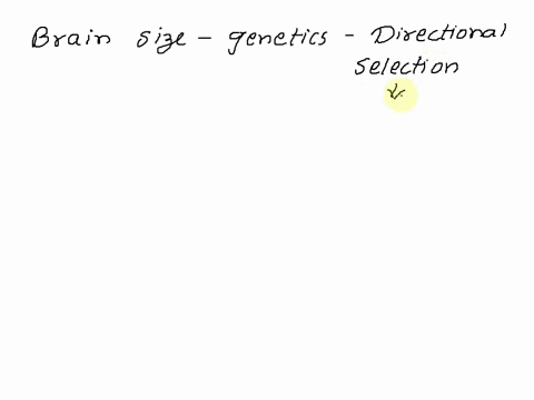 the-type-of-selection-that-favored-progressively-larger-brain-size-in-human-evolution-is-_______-selection-03977