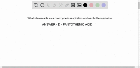 what-vitamin-acts-as-a-coenzyme-in-cell-respiration-and-is-important-in-alcohol-fermentation-a-thiamine-b-riboflavin-c-niacin-d-pantothenic-acid-10629