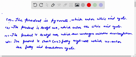 which-statements-about-fatty-acid-metabolism-are-true-select-all-that-apply-the-product-is-pyruvate-which-then-enters-the-citric-acid-cycle-the-product-is-acetyl-coa-which-then-enters-the-ci-94703