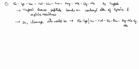 indicate-the-peptides-that-would-result-from-cleavage-by-the-indicated-reagent-part-a-his-lys-leu-val-glu-pro-arg-ala-gly-ala-by-trypsin-enter-your-answors-rospectlve-order-separated-by-comm-66934