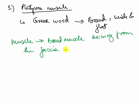 muscle-names-assignment-give-the-reasons-the-following-muscles-were-given-their-namesfor-muscles-with-multi-word-names-identify-themeaningof-orreasonfor-each-componentof-the-muscles-name-del-36769