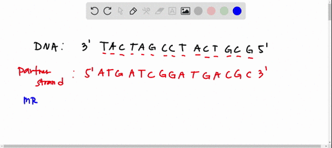 given-dna-strand-3-t-a-c-t-a-g-c-c-t-a-c-t-g-c-g-5-the-partner-strand-of-the-given-_________________________________-the-mrna-strand-formed-_____________________________________-the-trna-___-77797