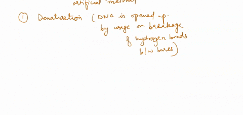please-label-the-images-to-review-the-process-of-polymerase-chain-reaction-and-how-its-products-can-be-analyzed-using-gel-electrophoresis-33708