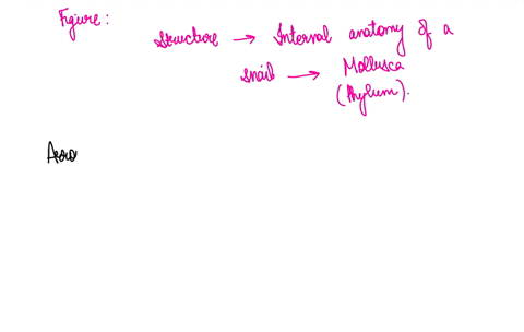 what-is-the-structure-indicated-by-arrow-6-on-the-diagram-below-note-not-the-blue-arrow-what-is-its-function-29067