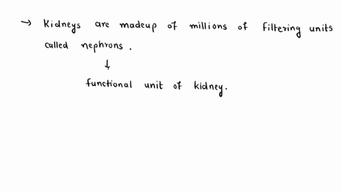 nephron-is-a-unit-of-filtration-in-kidneys-that-filters-waste-material-it-selectively-reabsorbs-or-excretes-water-with-the-help-of-capillaries-that-surround-it-what-is-the-likely-benefit-of-64917