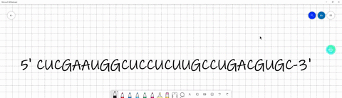 using-the-chart-below-what-is-the-protein-sequence-coded-for-in-this-mrna-write-your-answer-using-the-single-letter-code-for-each-amino-acid-remember-first-step-find-the-start-codon-hint-lik-06364