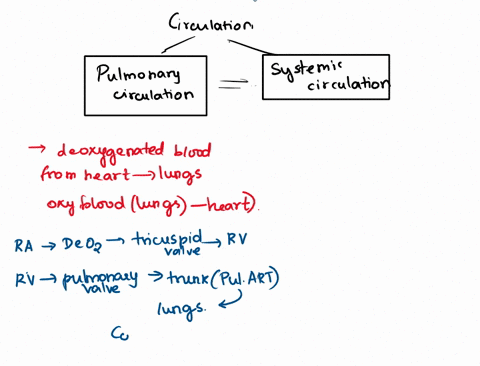figure-37-the-cardlovascular-system-ner-into-tov-darts-cncn-e-night-and-lett-atna-l-eecion-tno-neatt-and-th-muhe-and-kctt-venticlty-haion-eecton-tna-neart-superior-vena-cava-from-head-arms-a-98889
