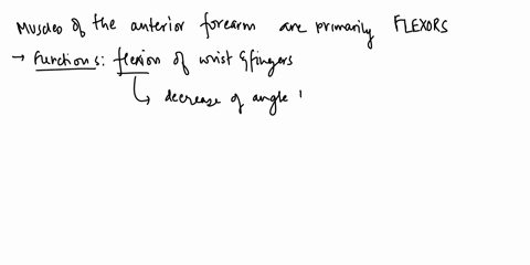 when-musclc-is-stimulated-repcatedly-for-several-seconds-with-constant-stimulus-such-manner-that-the-relaxation-phase-is-abolished-as-the-tension-in-the-musclc-increased-t0-maximum-this-phen-69451