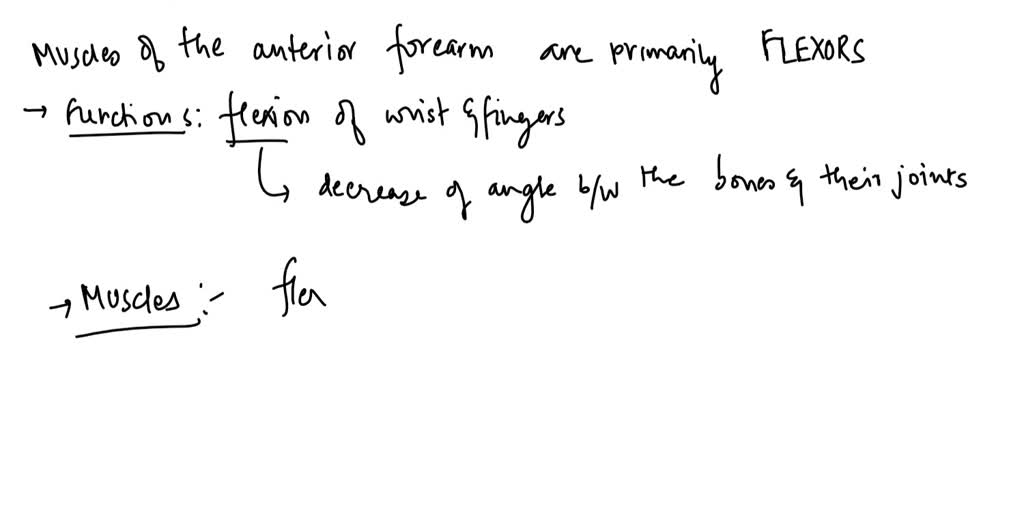 SOLVED: Draw a diagram of a single muscle twitch and indicate the ...