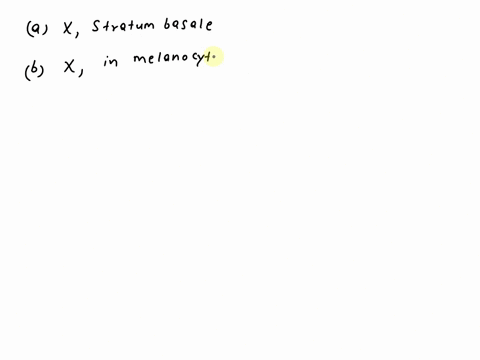 which-statement-is-accurate-about-melanin-or-melanocytes-a-melanin-is-produced-by-cells-that-are-located-in-the-stratum-spinosum-b-melanin-is-a-pigment-that-accumulates-inside-keratinocytes-49547