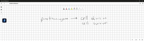 question-8-1-pts-protooncogenes-are-a-family-of-genes-which-when-mutated-pre-dispose-to-a-cancer-phenotype-which-of-the-following-statements-is-incorrect-mutations-favour-either-over-express-67096