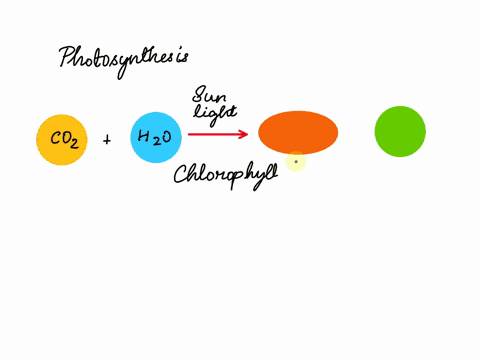 which-of-the-following-is-an-output-of-photosynthesis-a-oxygen-b-carbon-dioxide-c-water-d-nutrients-please-select-the-best-answer-from-the-choices-provided-a-b-c-d-04417