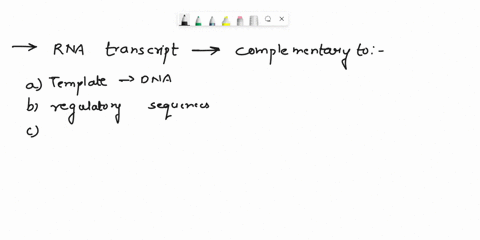 question31-tbe-rna-transcript-is-complimentary-to-0a-the-temglate-strand-of-dna-bregulatory-sequences-cthe-coding-strand-of-dna-d-termination-sequences-question-32-what-rnas-do-cach-cukaryot-60918