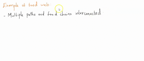 which-of-thc-following-is-an-example-of-j-food-web-0-seeds-are-caten-by-spartowi-thc-spattow-eaten-dy4-hartt-and-ne-hnk-ce5afc-ejten-byasn342-secds-4-prasscs-jec-eaten-by-various-instcts-jnd-25764