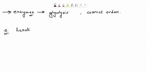 all-of-the-following-enzymes-are-involved-in-glycolysis-at-some-point-given-the-sequential-reactions-in-the-pathway-which-answers-list-enzymes-in-the-correct-order-without-skipping-any-steps-29635