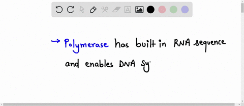 the-enzyme-with-a-built-in-rna-strand-template-which-enables-dna-synthesis-at-the-end-of-the-eukaryotic-chromosome-is-a-telomerase-b-dna-polymerase-c-topoismerase-79202