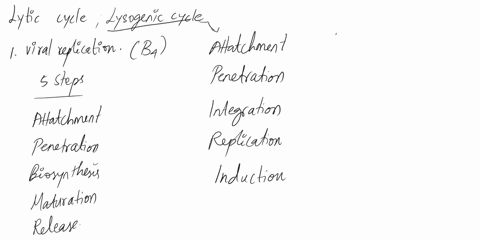 name-write-brief-summary-0t-what-happening-cach-stage-of-the-bacteriophage-lysogenic-cycle-and-lytic-cycle-lytic-cycle-327-lysogenic-cycl-49198