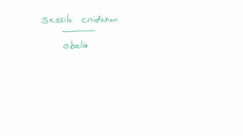 023-while-collecting-specimens-marine-hiolagist-finds-sessile-cnidarian-the-medusas-ihat-bud-from-it-swim-by-contracting-ring-of-muscle-iheit-bells-to-which-class-does-this-specimen-belong-c-28475