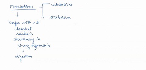 the-combination-of-chemical-reactions-through-which-an-organism-builds-up-or-breaks-down-materials-as-it-carries-out-its-life-processes-is-called-___________-50023