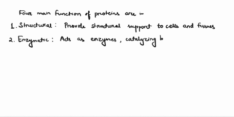 what-are-the-four-functions-of-proteins-58906