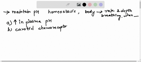 to-maintain-ph-homeostasis-the-body-may-increase-the-rate-and-depth-of-breathing-when______-group-of-answer-choices-a-there-is-an-increase-in-plasma-ph-b-carotid-chemoreceptors-detect-a-decr-13918