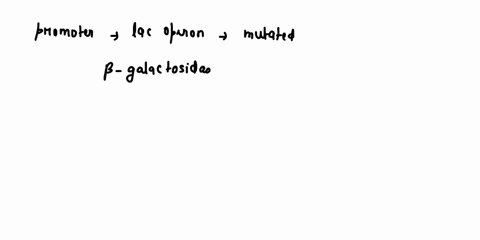 suppose-xpenmenerhecome-proficient-fraa-pmkaryotic-kunome-technqudthatwloraner-move-dna-squence-if-she-mni-the-promoter-for-tc-lac-operon-region-between-beta-galactosidase-lacz-gene-and-the-74865