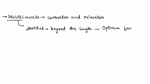 as-skeletal-muscle-is-further-stretched-beyond-the-length-where-optimum-force-is-developed-________-as-skeletal-muscle-is-further-stretched-beyond-the-length-where-optimum-force-is-developed-64996