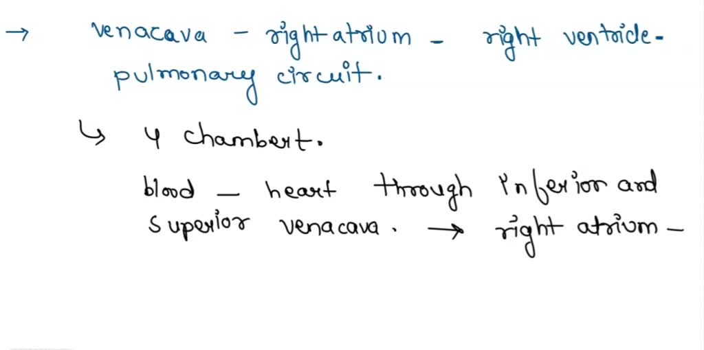 SOLVED:QUESTION 20 Which sequence of blood flow can be observed in a ...