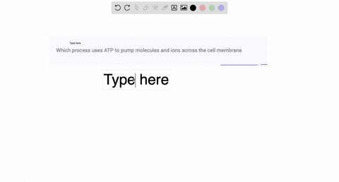 which-process-uses-atp-to-pump-molecules-and-ions-across-the-cell-membrane-40796