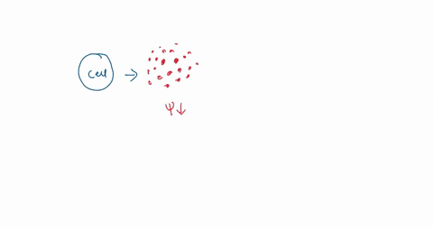 a-cell-is-placed-in-a-high-solute-solution-the-net-movement-of-water-is-from-inside-of-the-cell-to-the-outside-of-the-cell-causing-the-cell-to-shrink-what-type-of-solution-is-the-cell-contai-53772