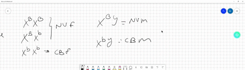 traits-that-are-found-on-the-x-chromosome-are-said-to-be-sex-linked-these-sex-linked-traits-are-usually-designated-by-a-superscript-to-the-letter-x-for-example-xn-could-designate-a-normal-al-70707