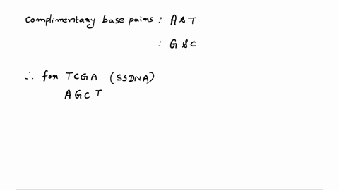 what-is-the-complementary-strand-for-a-single-dna-strand-with-the-sequence-tcga-57205