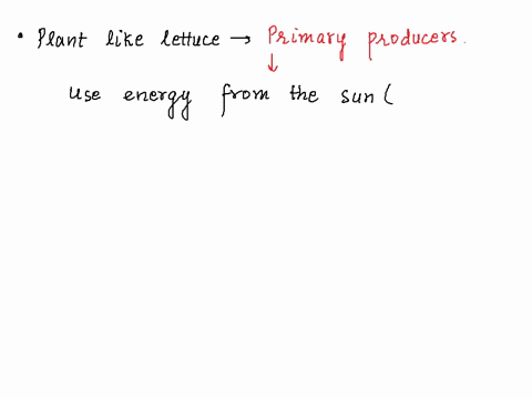 when-you-eat-plants-like-lettuce-the-energy-that-you-get-originally-came-from-a-a-windmill-b-nuclear-fusion-c-the-sun-d-a-cow-99721
