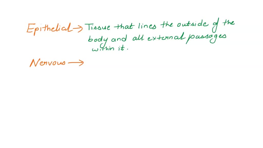 SOLVED Tissues consist of groups of cells working together to