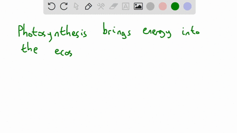 a-crucial-prereq-human-beings-do-not-produce-energy-by-photosynthesis-yet-this-process-is-critical-t-71204
