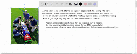 a-child-has-been-admitted-to-the-emergency-department-after-falling-off-a-horse-the-first-responders-stabilized-the-child-using-a-rigid-cervical-collar-with-supportive-blocks-on-a-rigid-back-85434