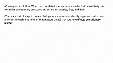 question-20-2-points-some-beetles-and-flies-have-antler-like-structures-on-their-heads-much-like-male-deer-do-the-existence-of-antlers-in-beetle-fly-and-deer-species-with-strong-male-male-co-15258