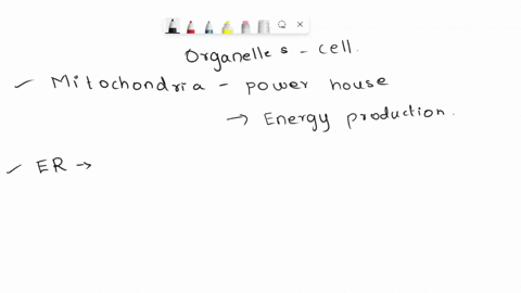 please-place-the-following-events-in-muscle-contraction-in-the-appropriate-order-the-neurotransmitter-acetylcholine-is-released-into-the-synaptic-clett-calcium-is-released-into-the-muscle-ce-07609