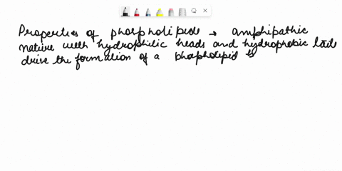 why-properties-of-phosphollpids-drive-the-formation-of-phospholipid-bllayer-how-does-i-form-10-what-makes-the-cell-membrane-mosalc-what-are-the-components-that-make-i-mosalc-can-components-o-16645