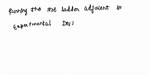 a-common-practice-when-separating-dna-molecules-by-size-on-an-agarose-gel-is-to-load-a-size-ladder-in-one-of-the-sample-wells-a-size-ladder-is-a-mixture-of-dna-fragments-of-known-size-for-ex-96832