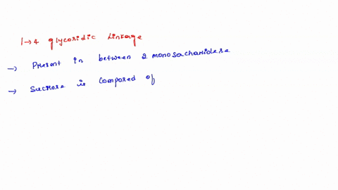 question-7-1-point-4i-lisean-which-of-the-following-carbohydrates-does-not-contain-an-alpha-1-4-bond-a-sucrose-b-glycogen-amylose-d-amylopectin-d-maltose-76554