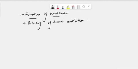 which-of-the-following-is-a-possible-function-of-a-protein-61826