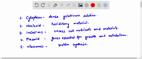 which-is-mismatched-cytoplasm-dense-gelatinous-solution-nucleoid-hereditary-material-inclusions-excess-cell-nutrients-and-materials-plasmids-genes-essential-for-growth-and-metabolism-ribosom-49898