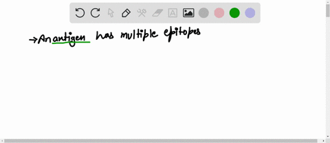 fill-in-the-blanks-with-antigens-epitopes-or-antibodyies-an-________-has-multiple-________-________-can-bind-to-different-________-on-the-same-________-40286
